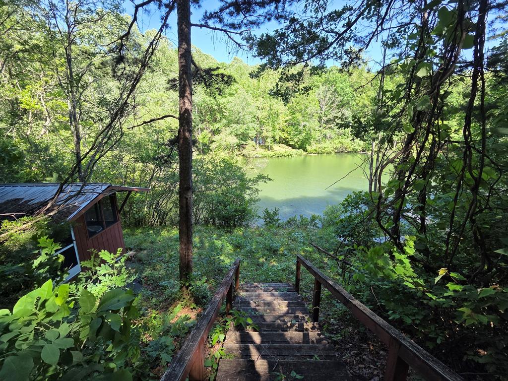 198 Old Dogwood Dr