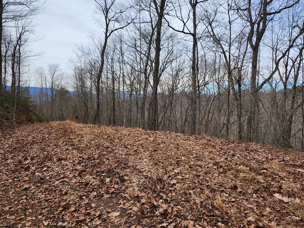 00 Highlands Pass Trail
