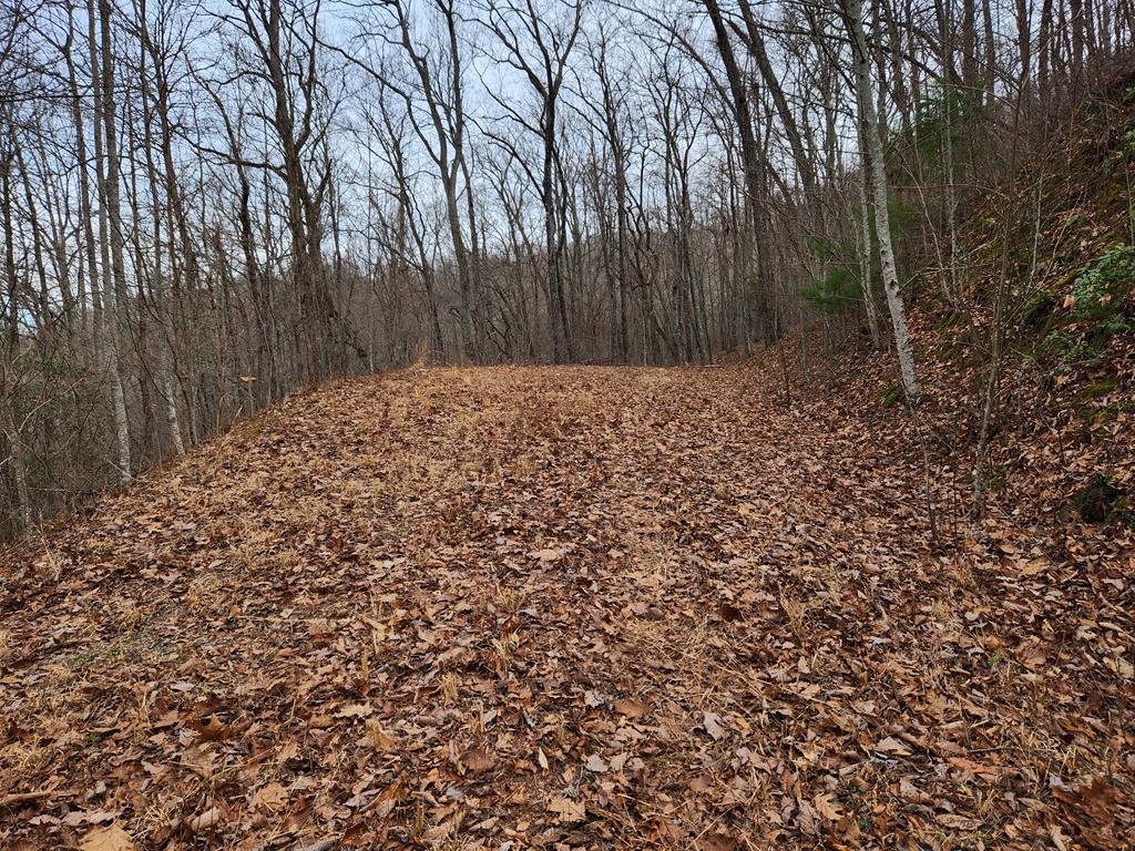 00 Highlands Pass Trail
