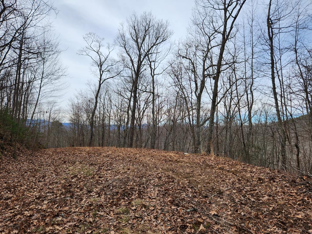 00 Highlands Pass Trail