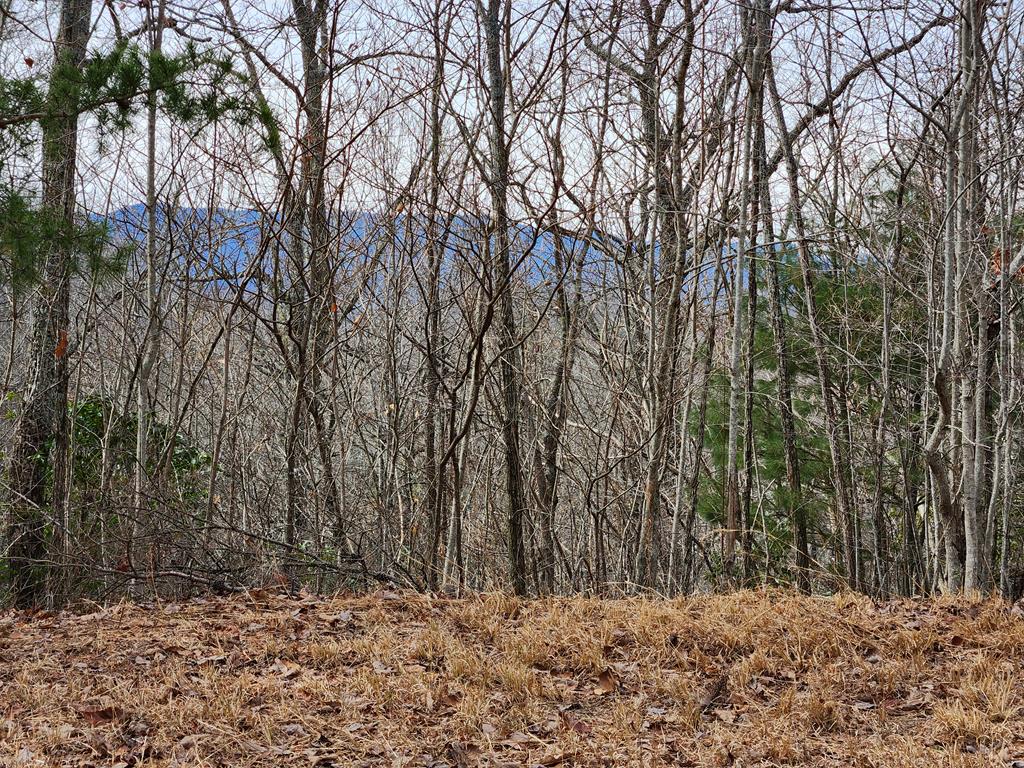 00 Highlands Pass Trail