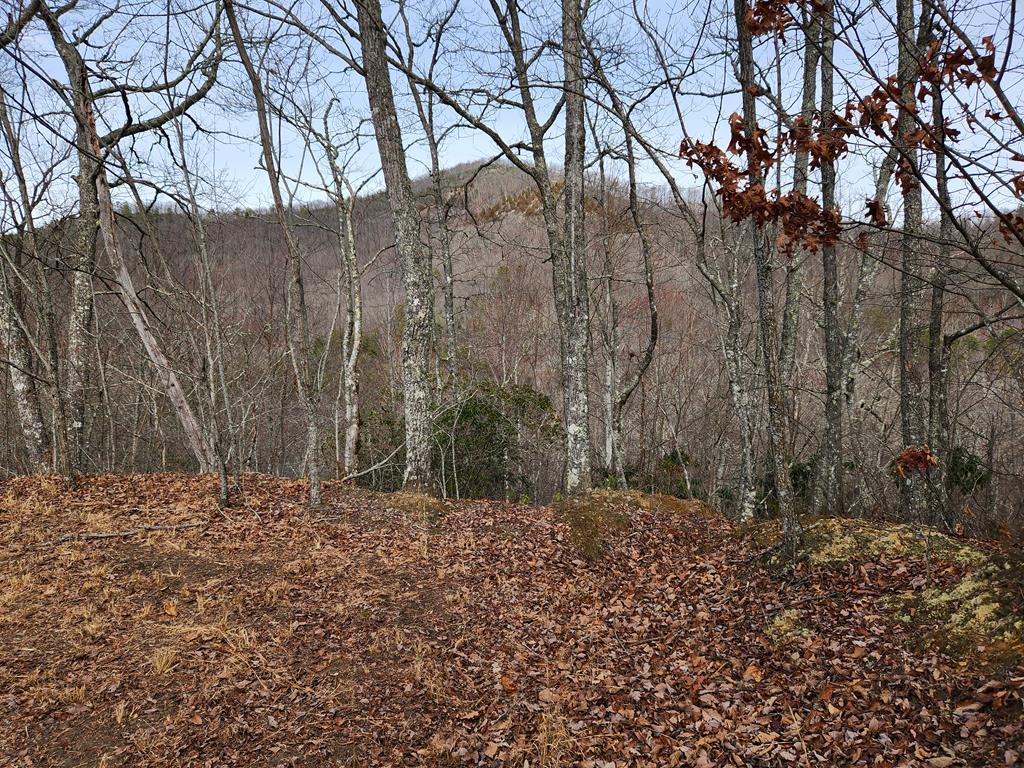 00 Highlands Pass Trail