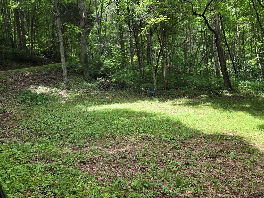 1448 Kitchens Branch Road