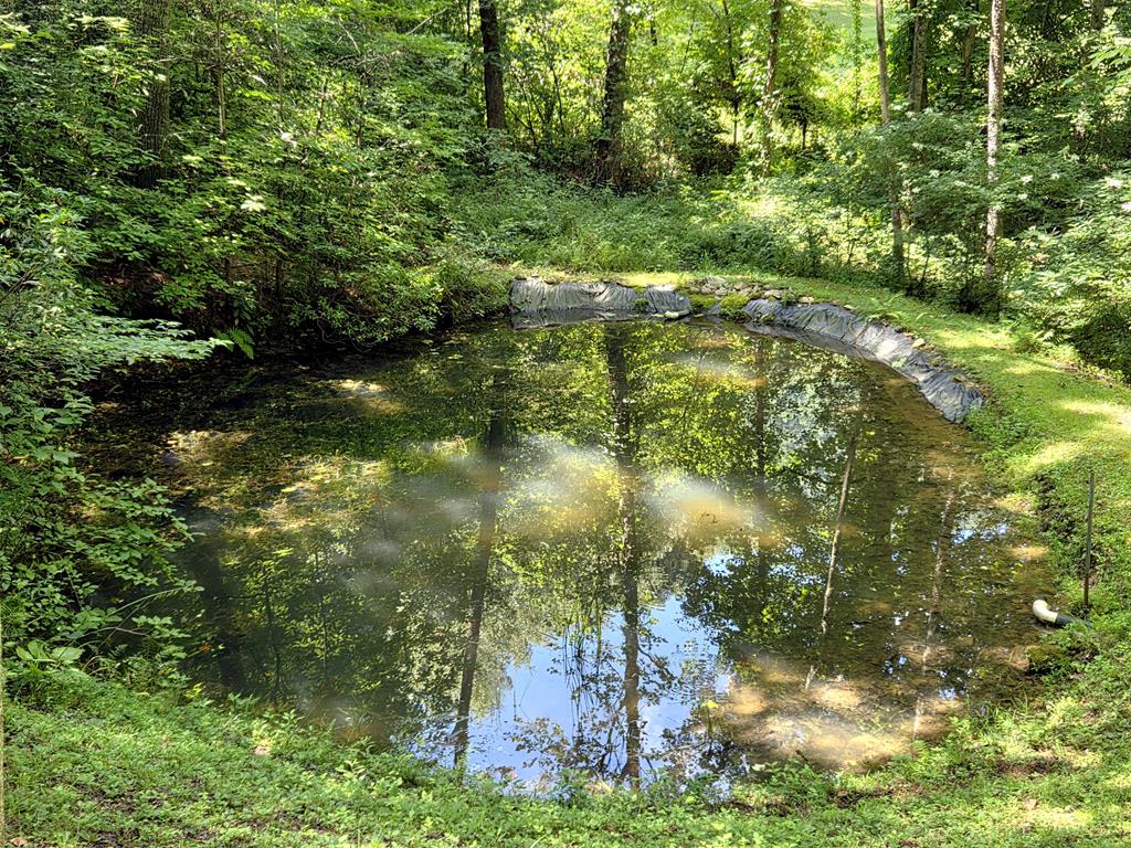 480 Peaceful Cove Road