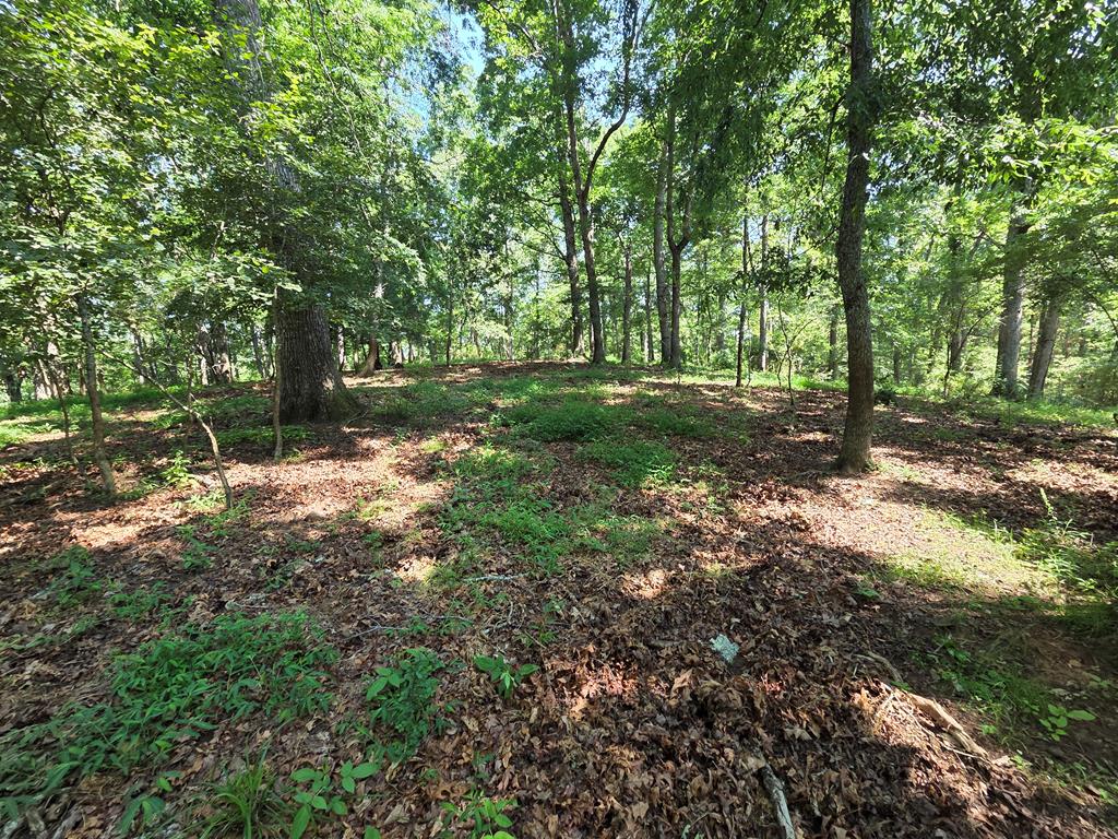 00 Patton Road
