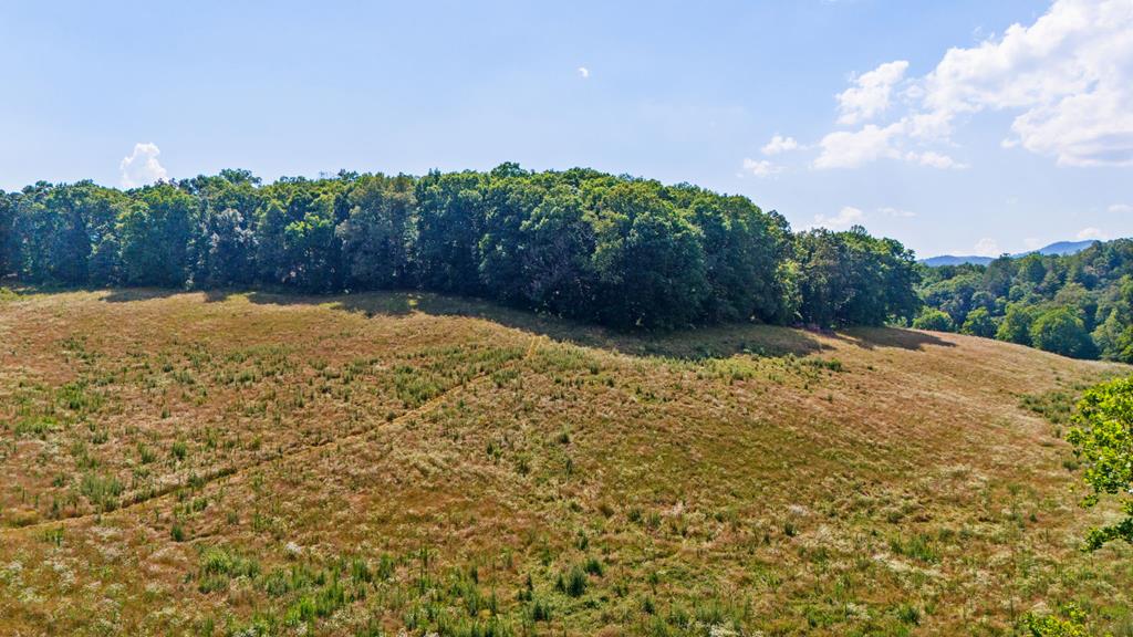 00 Patton Road