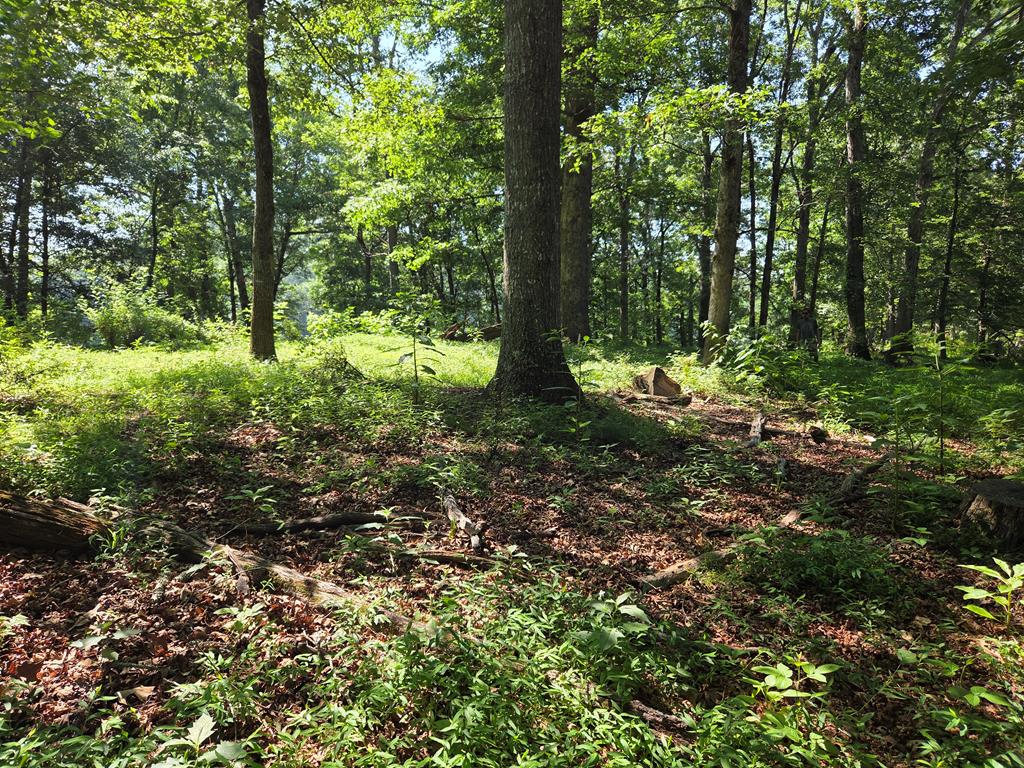 00 Patton Road