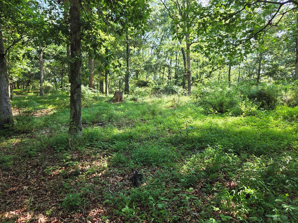 00 Patton Road