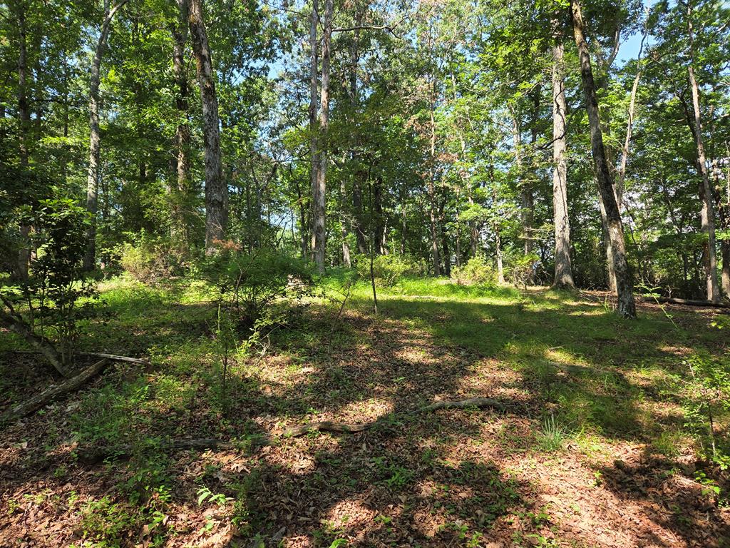 00 Patton Road
