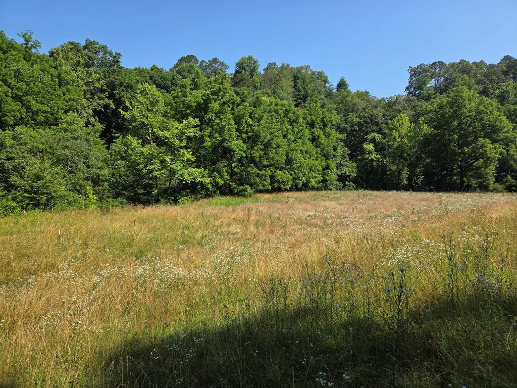 00 Patton Road