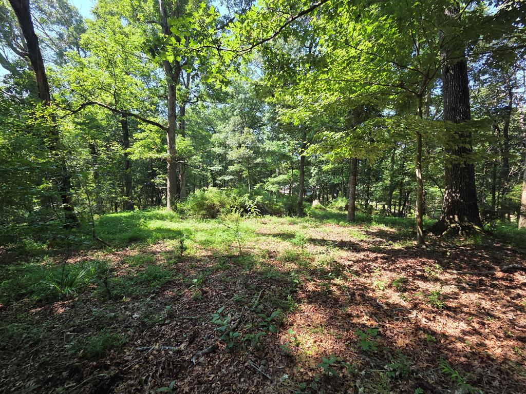 00 Patton Road