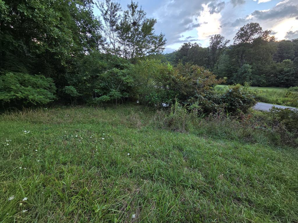 Lot 19 Brookstone Vista Lane