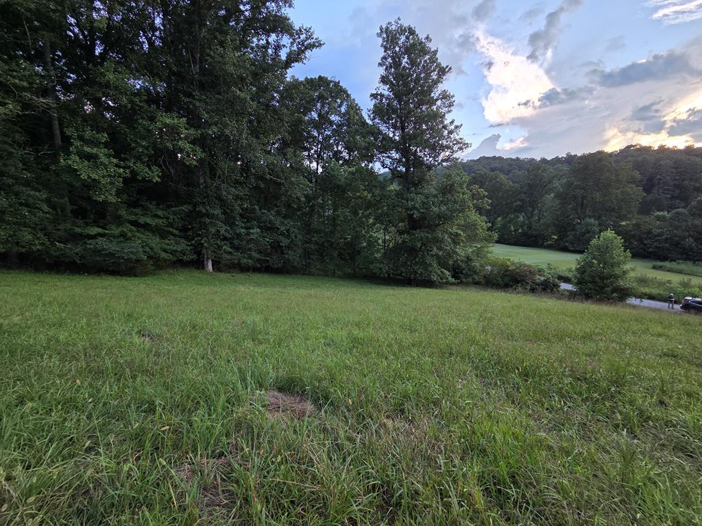 Lot 19 Brookstone Vista Lane