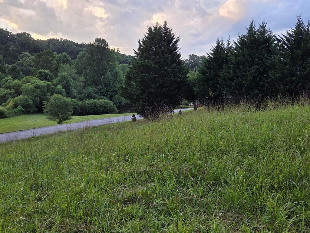 Lot 19 Brookstone Vista Lane