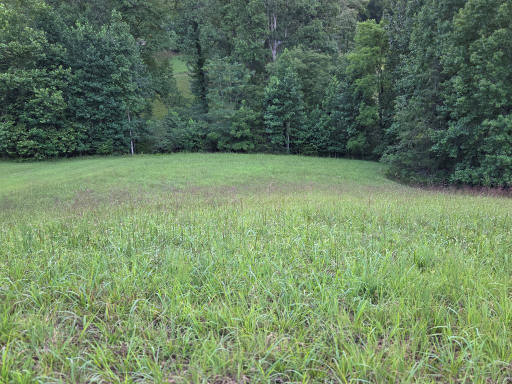 Lot 32 Brookstone Vista Lane