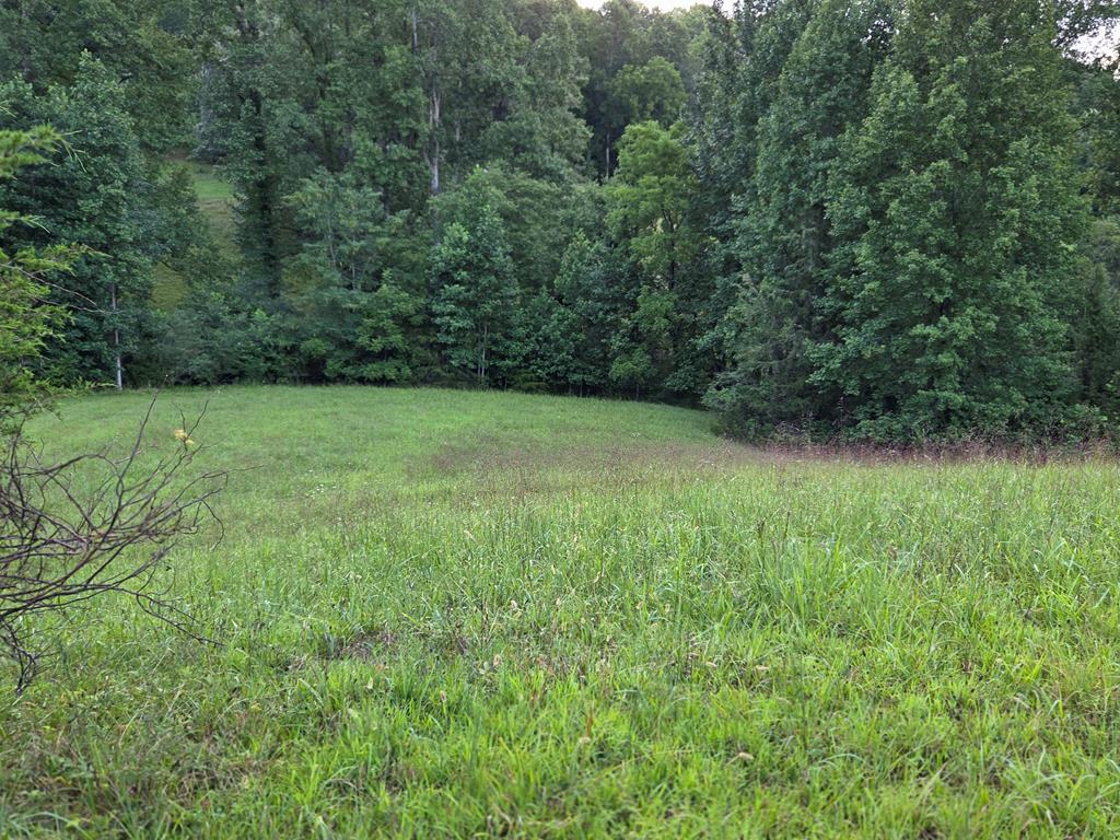 Lot 32 Brookstone Vista Lane