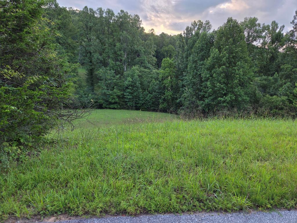 Lot 32 Brookstone Vista Lane