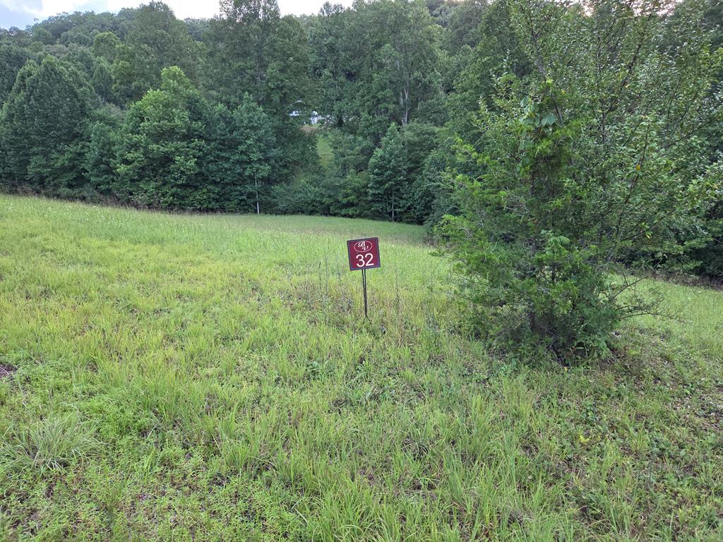 Lot 32 Brookstone Vista Lane