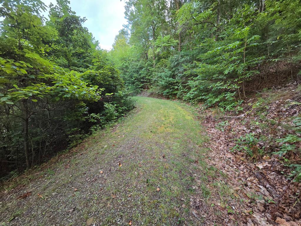 Lot 28 Brookstone Mtn. Trail