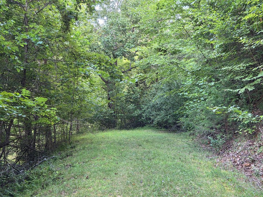 Lot 28 Brookstone Mtn. Trail
