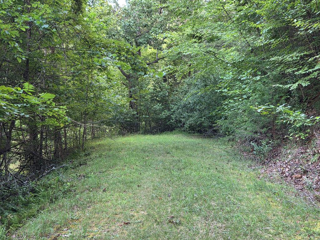 Lot 28 Brookstone Mtn. Trail