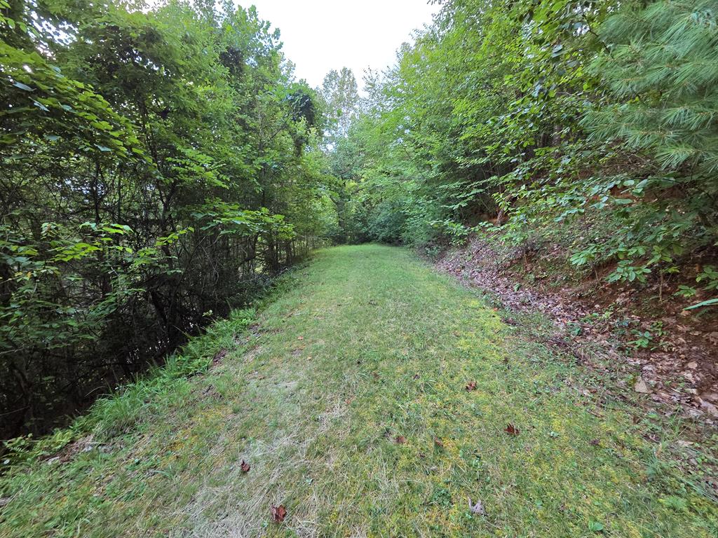 Lot 28 Brookstone Mtn. Trail