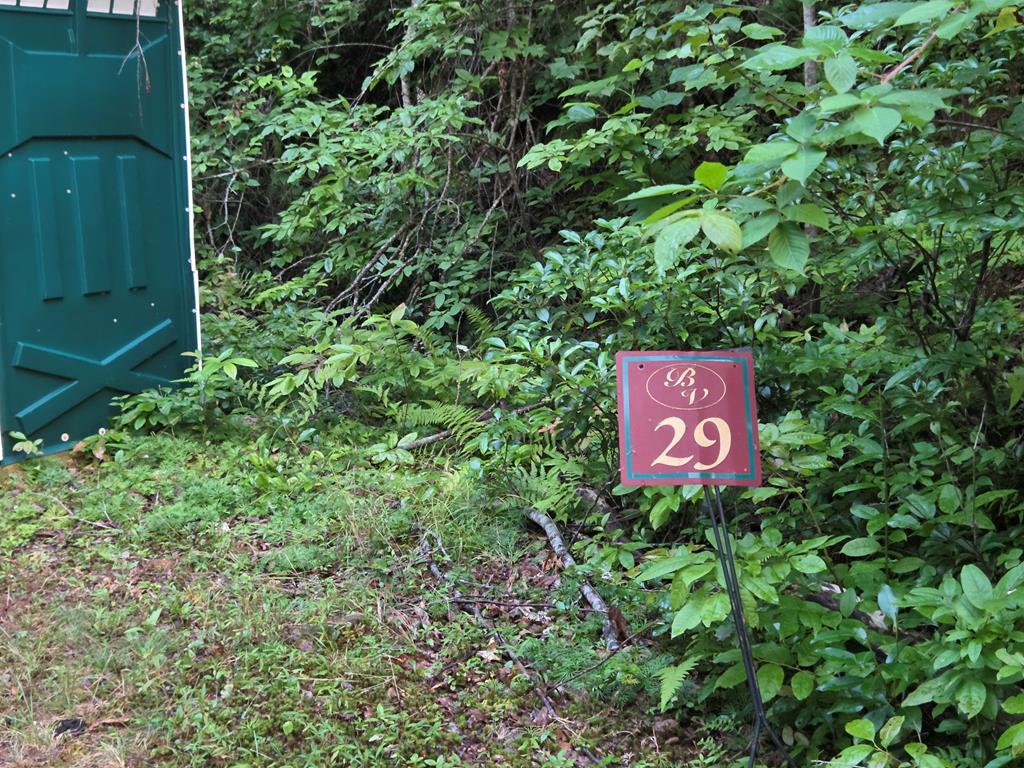 Lot 29 Brookstone Mtn. Trail
