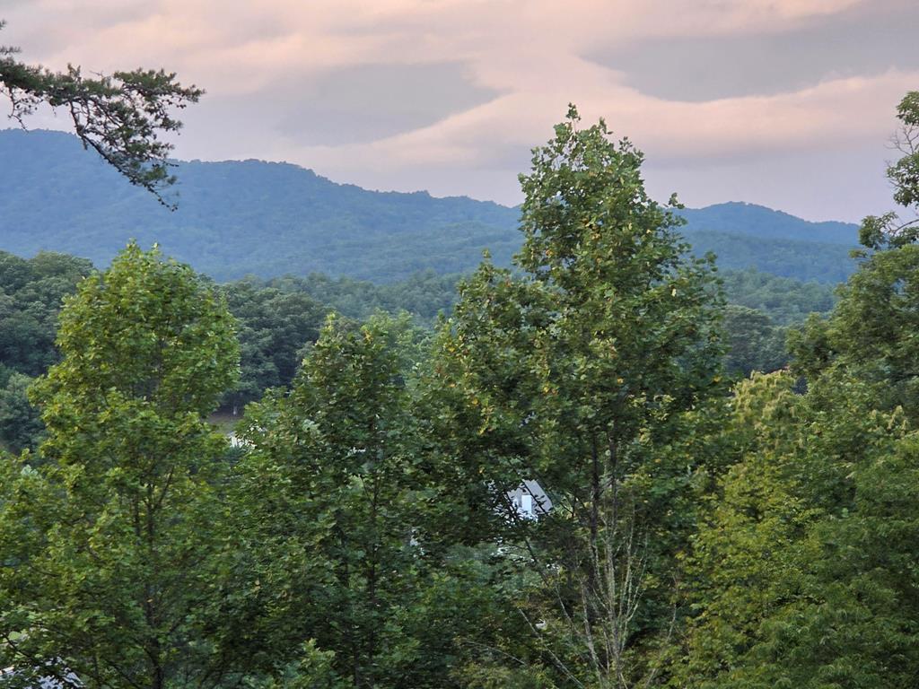 Lot 29 Brookstone Mtn. Trail