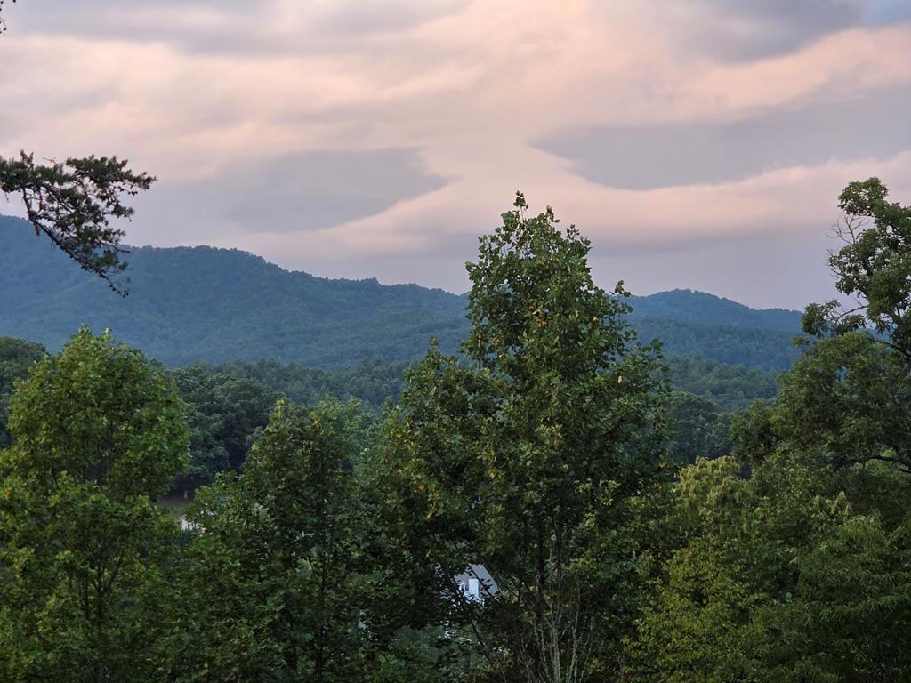 Lot 29 Brookstone Mtn. Trail