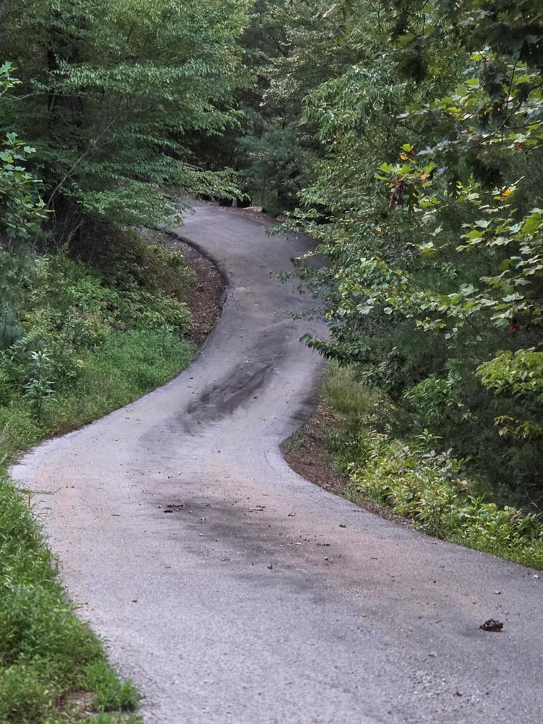 Lot 29 Brookstone Mtn. Trail