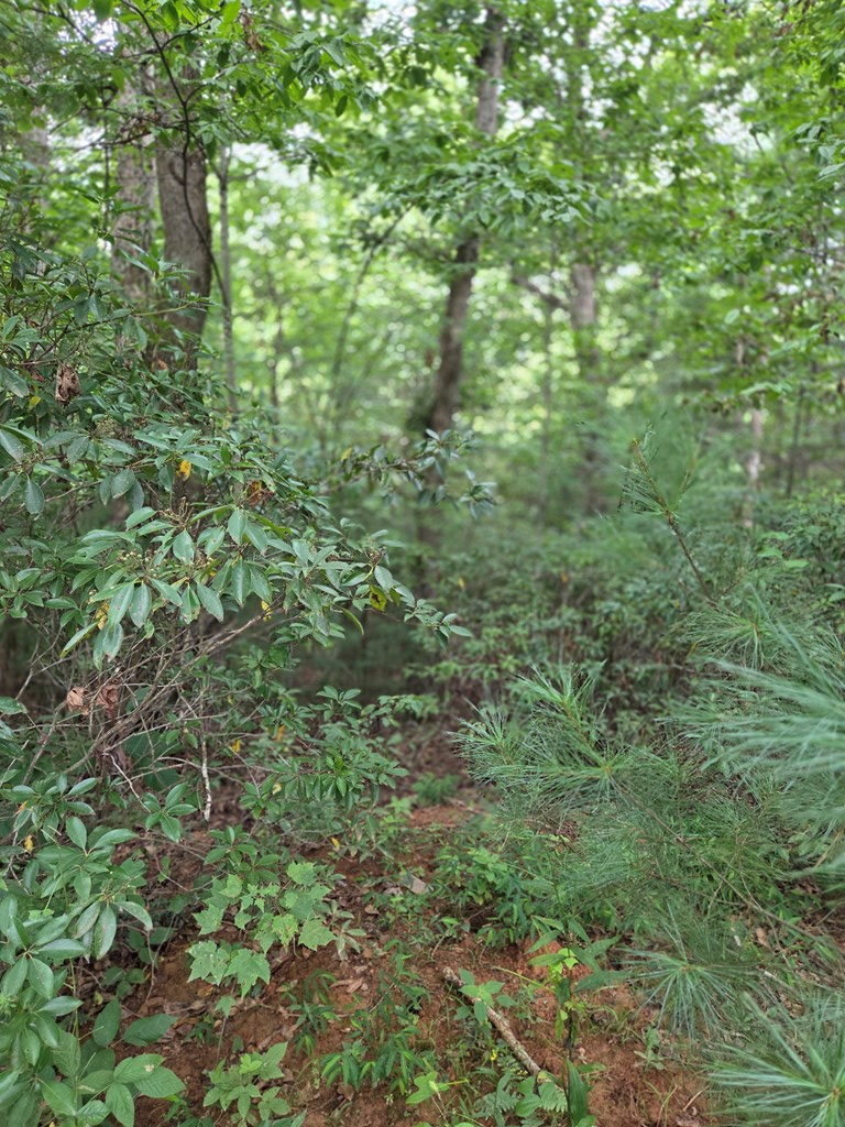 Lot 5A Park Ridge Road