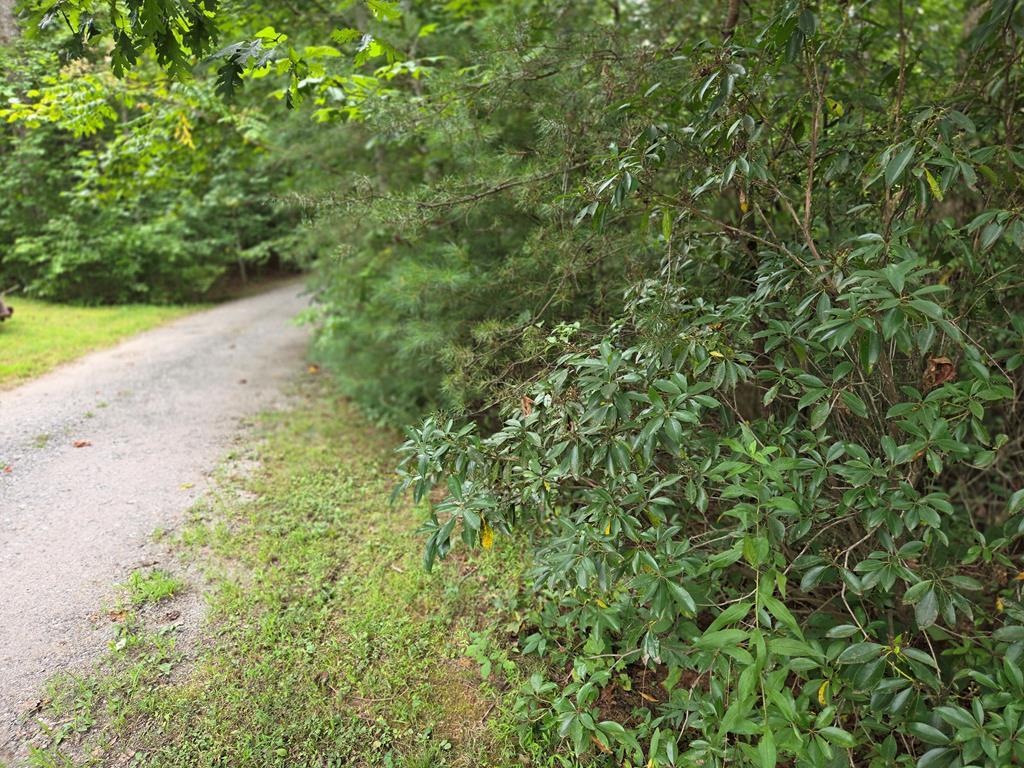 Lot 5A Park Ridge Road