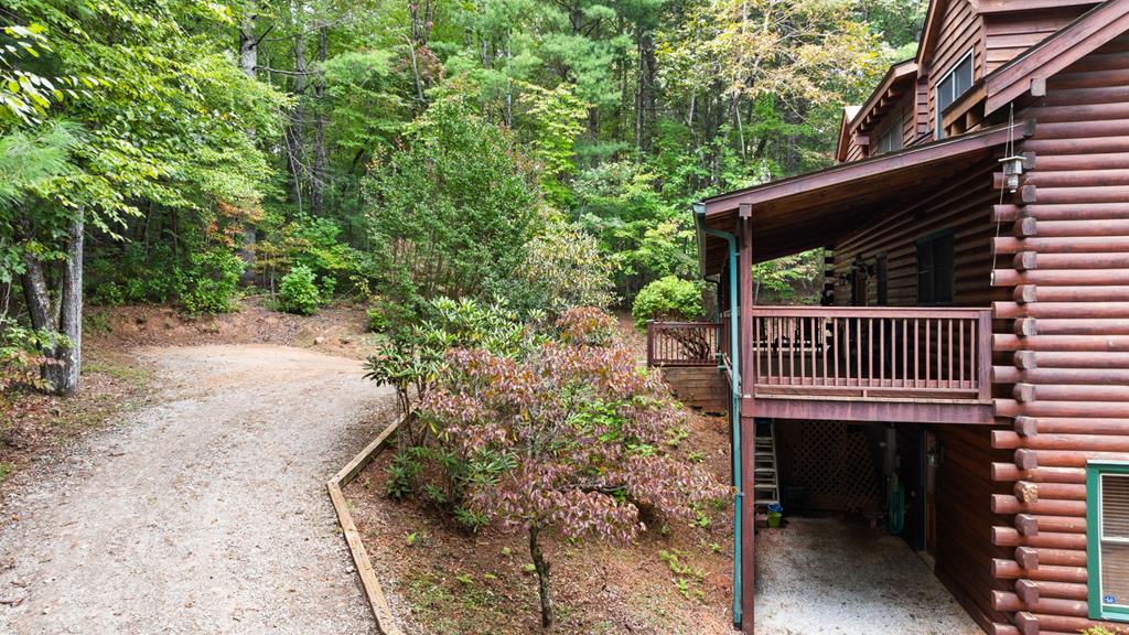 116 Warrior Trail