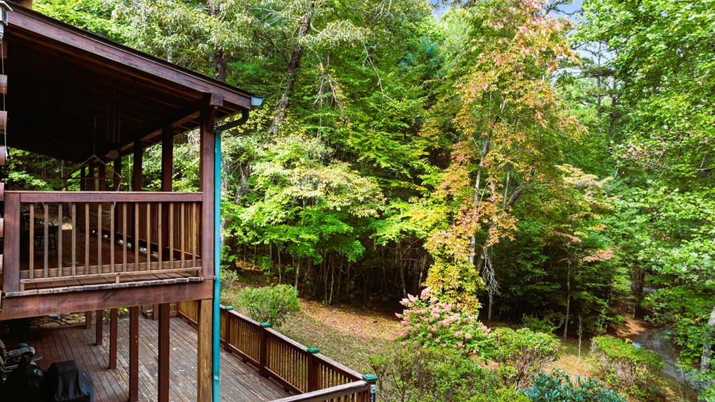 116 Warrior Trail