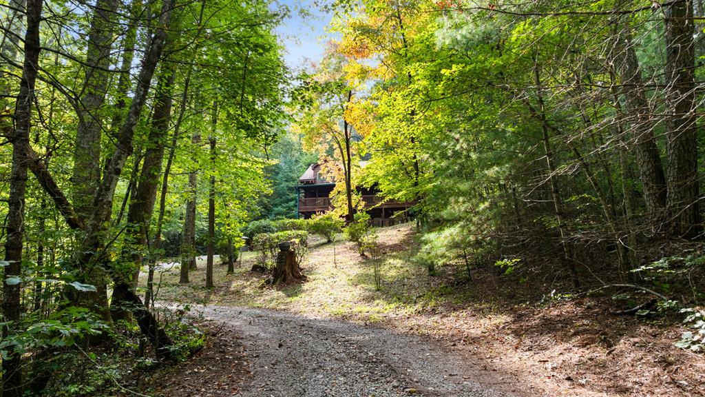 116 Warrior Trail