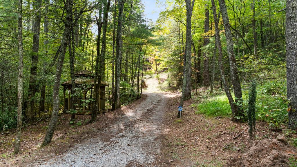 116 Warrior Trail