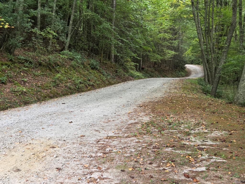 116 Warrior Trail