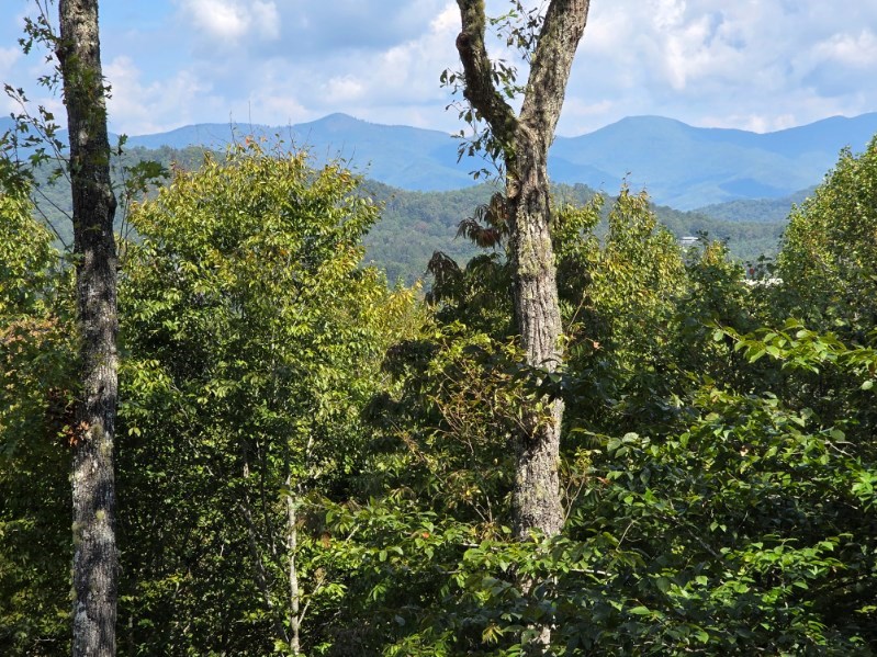 333 Fox Layre Road, Franklin