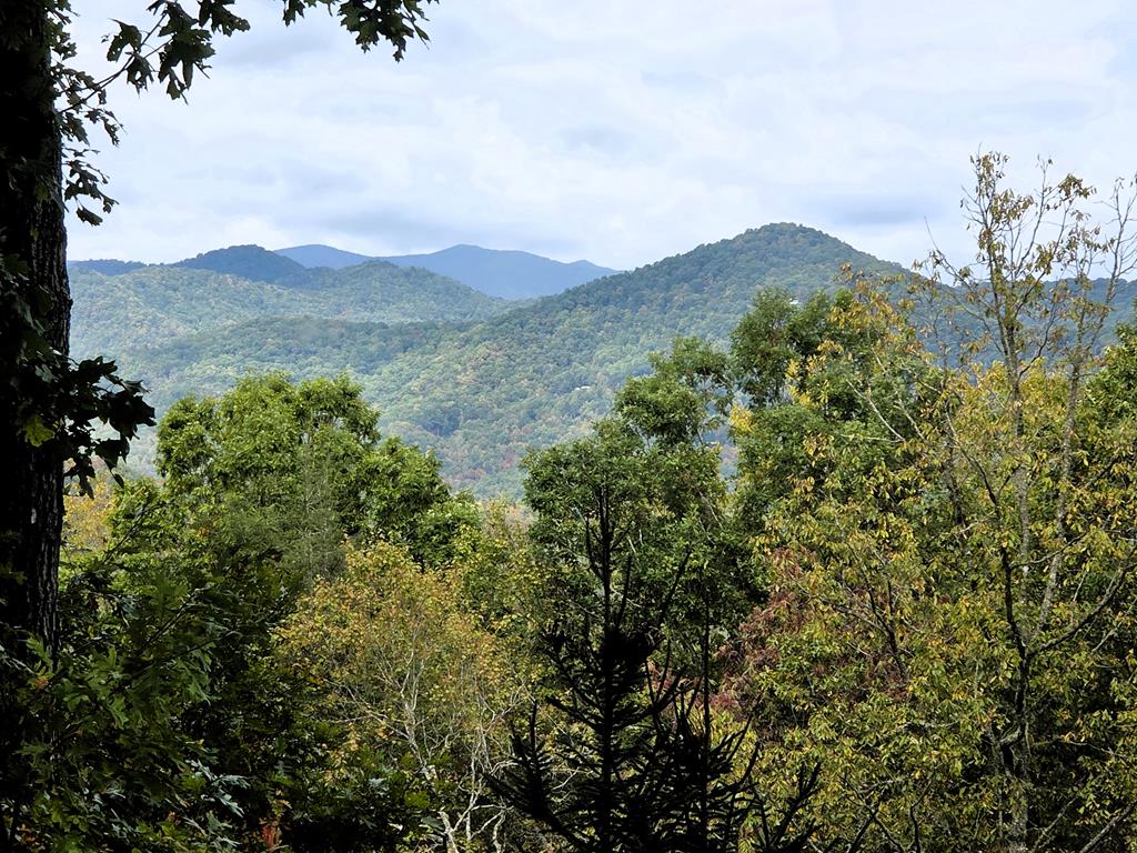 718 Cannon Trail