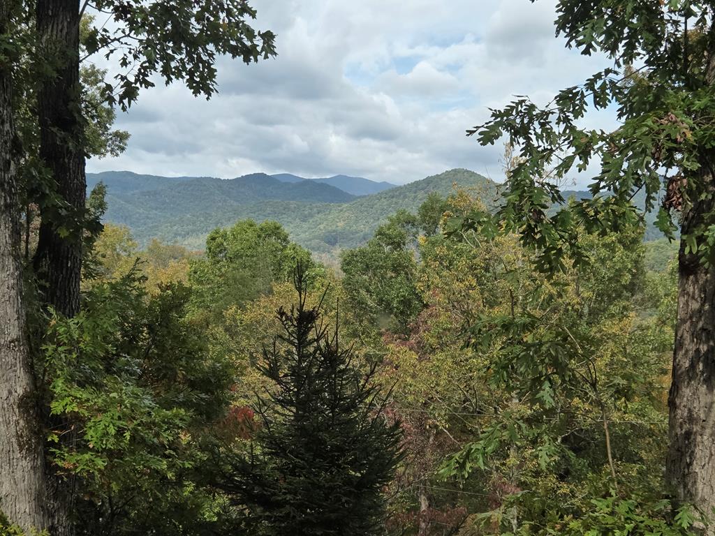 718 Cannon Trail