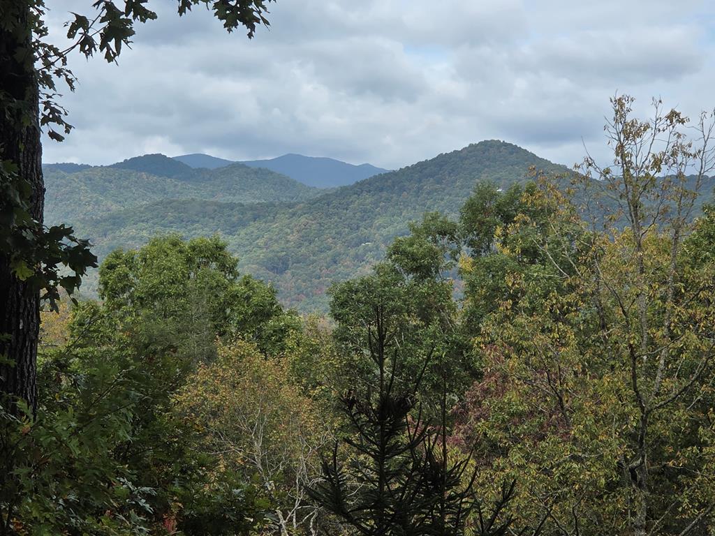 718 Cannon Trail