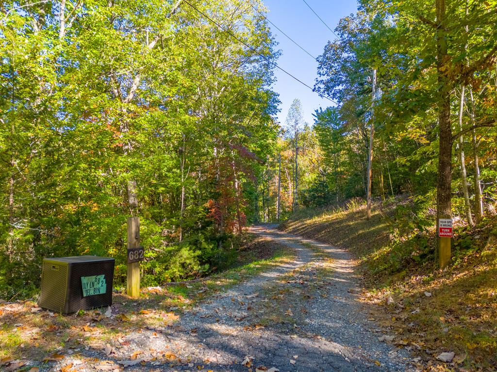 682 Lily Lane