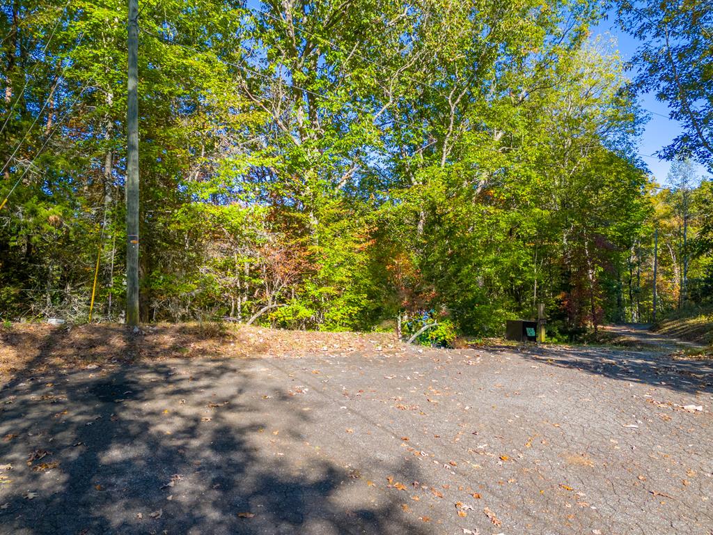 682 Lily Lane