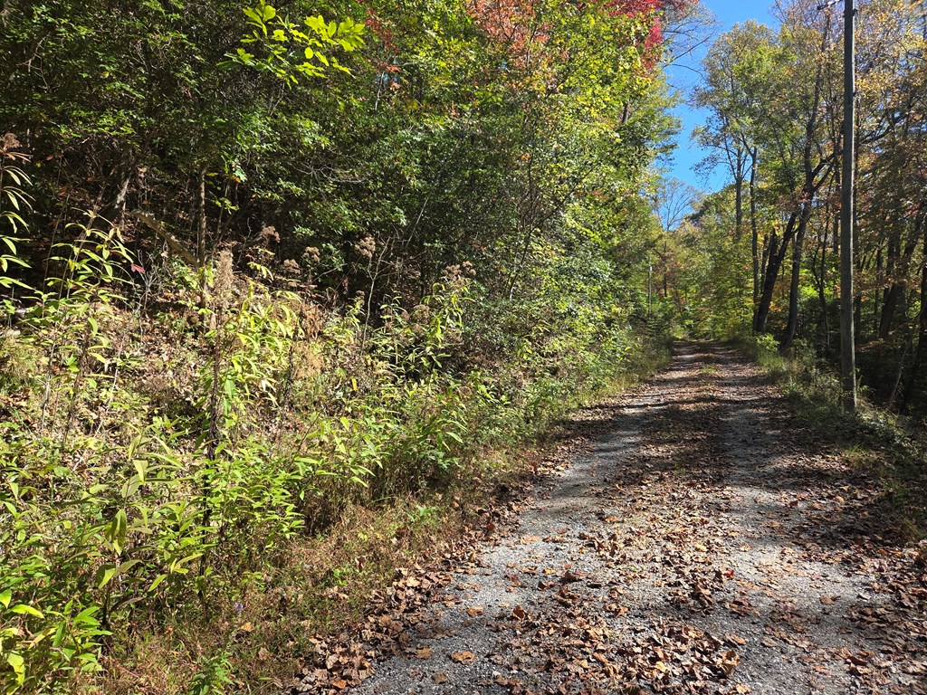 Lot 53 Corundum Hill Road, Franklin