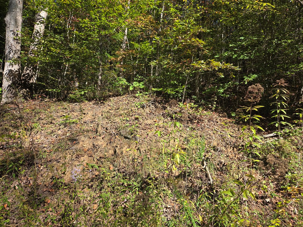 Lot 53 Corundum Hill Road, Franklin