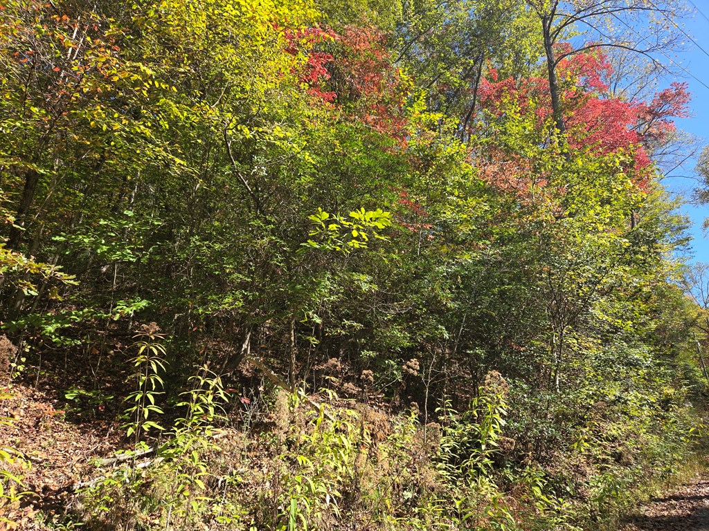 Lot 53 Corundum Hill Road, Franklin