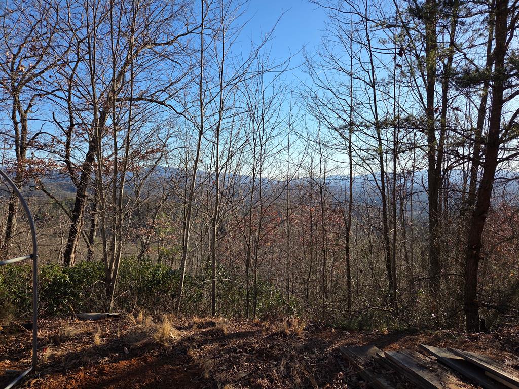 Lot 31 Lyle Knob Road