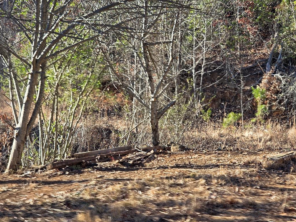 Lot 31 Lyle Knob Road