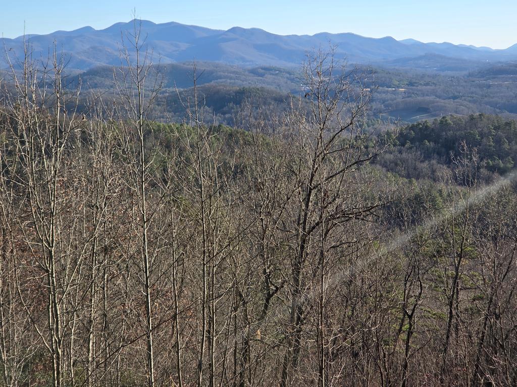 Lot 31 Lyle Knob Road