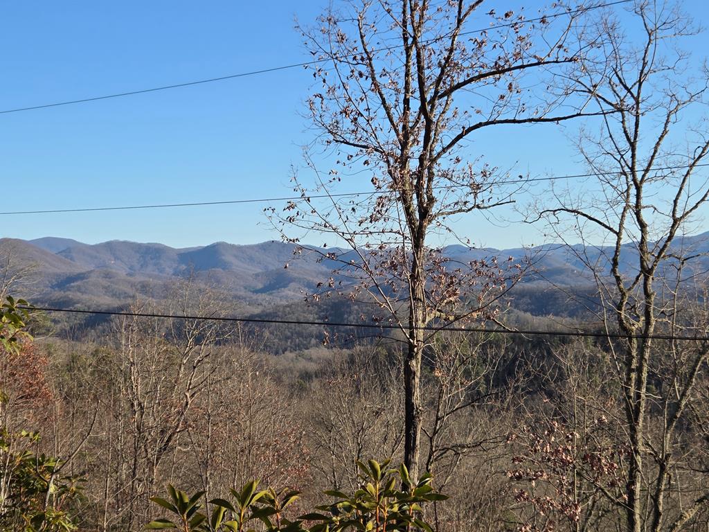 Lot 31 Lyle Knob Road